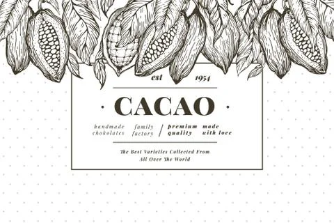 Cocoa bean tree banner template. Chocolate cocoa beans background. Vector hand Stock Illustration
