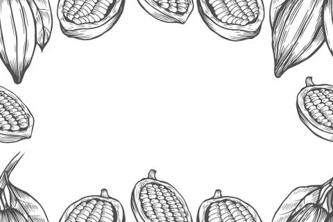 Cocoa bean tree design template Stock Illustration