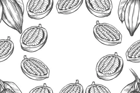 Cocoa bean tree design template Stock Illustration