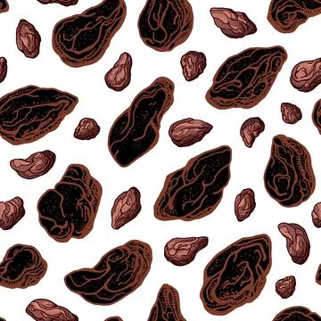 Cocoa bean. Vector chocolate ingredient. Botanical art sketch. Seamless patte Stock Illustration
