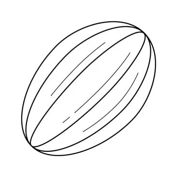Cocoa bean vector line icon. Stock Illustration