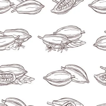 Cocoa bean.  Vector pattern 스톡 일러스트