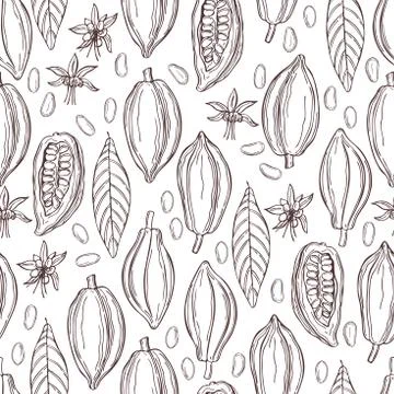 Cocoa bean.  Vector pattern 스톡 일러스트