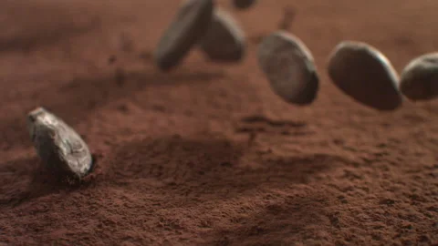 Cocoa beans 10 Stock Footage 143152546