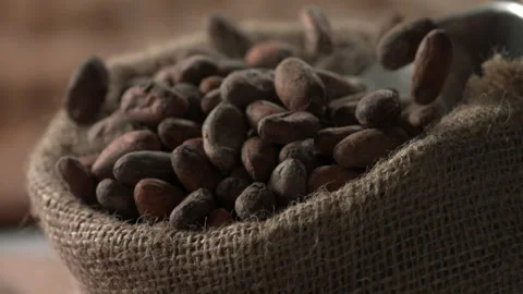 Cocoa beans 15 Stock Footage 143152626