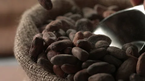 Cocoa beans 16 Stock Footage 143152659