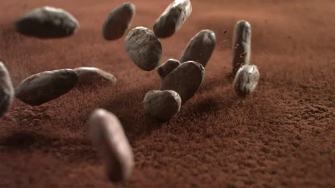 Cocoa beans 8 Stock Footage 143152506