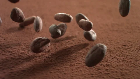 Cocoa beans 9 Video stock 143152532