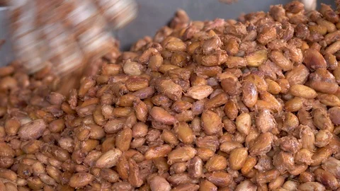 Cocoa beans and cocoa pod on a wooden surface. Stock Footage 99720564