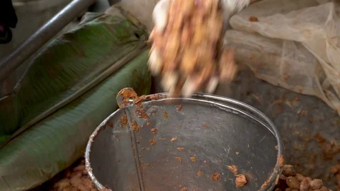 Cocoa beans and cocoa pod on a wooden surface. Video stock 104577538