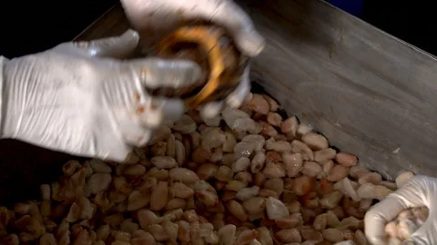 Cocoa beans and cocoa pod on a wooden surface. Stock Footage 104579934