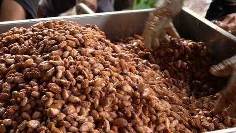 Cocoa beans and cocoa pod on a wooden surface. Stock Footage 104584423
