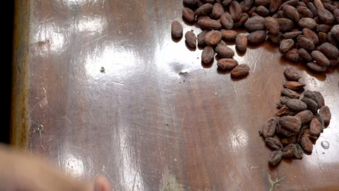 Cocoa beans and cocoa pod on a wooden surface. Stock Footage 118430282