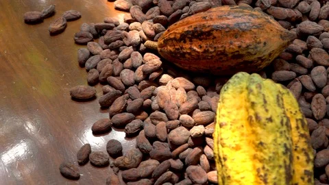 Cocoa beans and cocoa pod on a wooden surface. Stock Footage 120551579