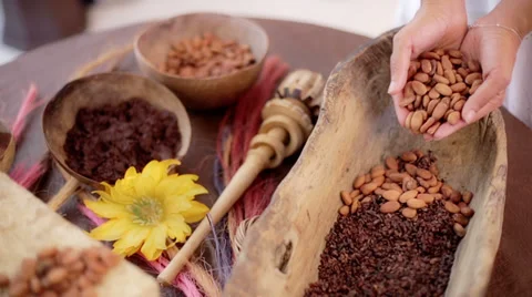 Cocoa beans and powder Stock Footage 37974740