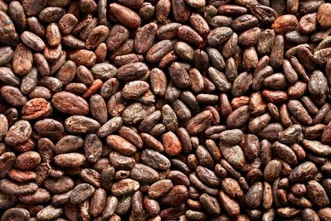 Cocoa beans background pattern of the cocoa beans background Copyright: xZ... Foto stock