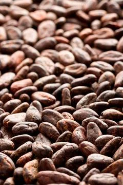Cocoa beans background pattern of the cocoa beans background Copyright: xZ... Stock Photos