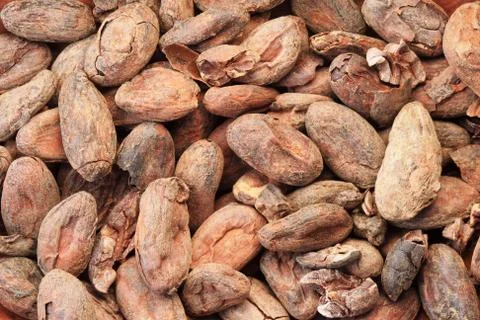 Cocoa beans background Stock Photos