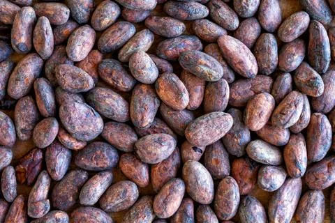 Cocoa beans background Stock Photos
