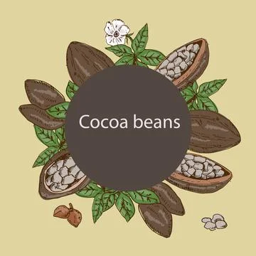 Cocoa beans background with round frame Stock Illustration
