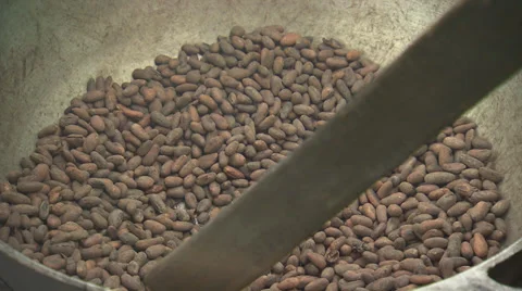 Cocoa Beans Being Stirred Stock Footage 32659165