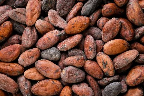 Cocoa beans close-up, background. The view from the top Stock Photos