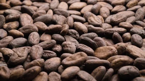 Cocoa Beans. Close-up. Chocolate concept. Stock Footage