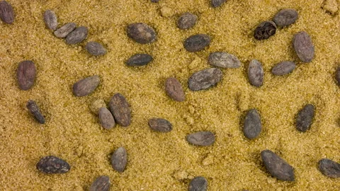 Cocoa beans close-up rotation on macro background brown sugar Video stock 89820641