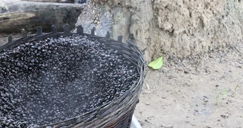 Cocoa beans cooking outside fire village Ghana Africa 4K Stock Footage 161405847