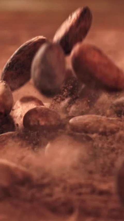 Cocoa beans fall on cocoa powder. Filmed on a high-speed camera at 1000 fps Stock Footage 335370213