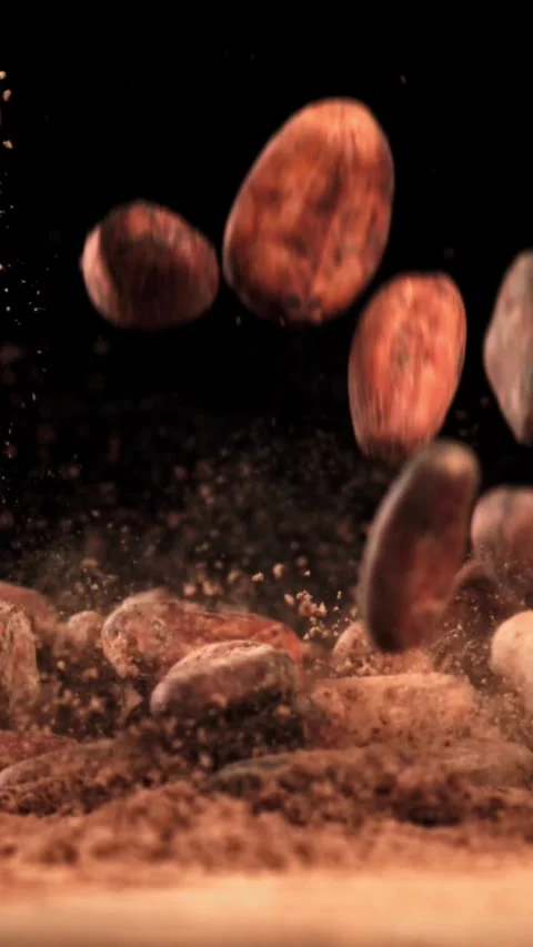 Cocoa beans fall on cocoa powder. Filmed on a high-speed camera at 1000 fps Stock Footage 335372103