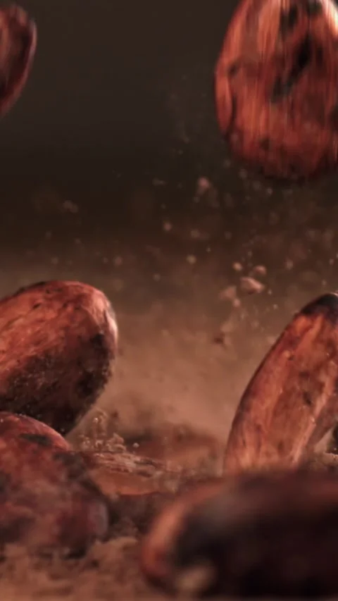 Cocoa beans fall on cocoa powder. Filmed on a high-speed camera at 1000 fps Stock Footage 335372490