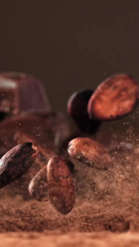 Cocoa beans fall on cocoa powder. Filmed on a high-speed camera at 1000 fps Stock Footage 335373586