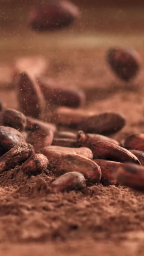 Cocoa beans fall on cocoa powder. Filmed on a high-speed camera at 1000 fps Stock Footage 335377801