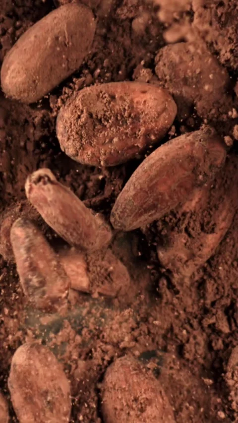 Cocoa beans fall on cocoa powder. Filmed on a high-speed camera at 1000 fps Stock Footage 335382647