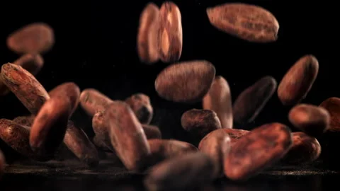 Cocoa beans fall on the table. Filmed on a high-speed camera at 1000 fps. Stock Footage 308407760