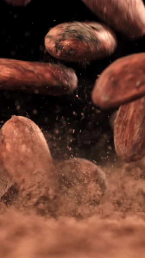 Cocoa beans fall on the table. Filmed on a high-speed camera at 1000 fps Stock Footage 335374231