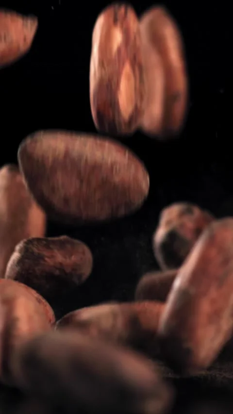 Cocoa beans fall on the table. Filmed on a high-speed camera at 1000 fps Stock Footage 335375745