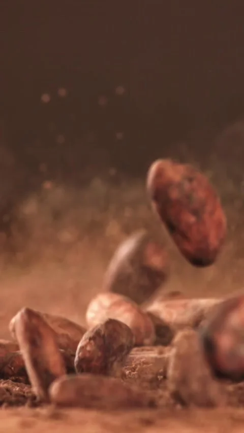 Cocoa beans fall on the table. Filmed on a high-speed camera at 1000 fps Stock Footage 335376703