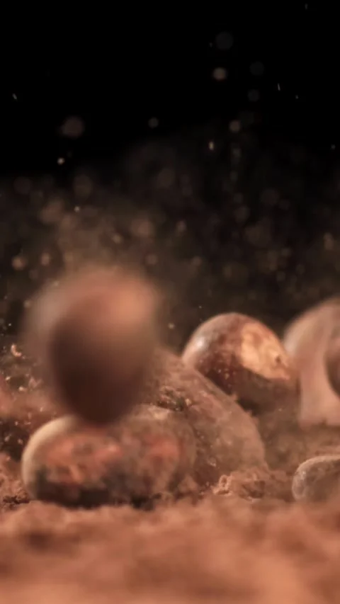 Cocoa beans fall on the table. Filmed on a high-speed camera at 1000 fps Stock Footage 335379578