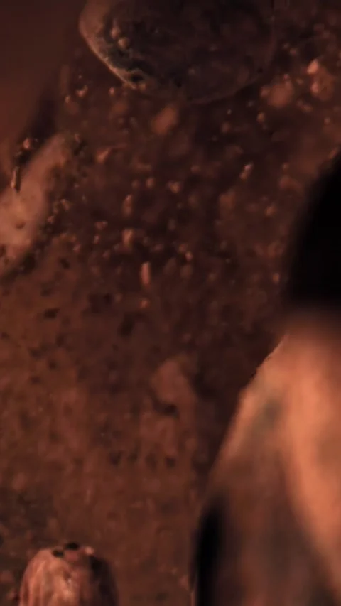 Cocoa beans fly up and fall down. Filmed on a high-speed camera at 1000 fps Stock Footage 335372346