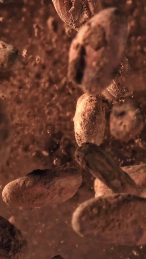 Cocoa beans fly up and fall down. Filmed on a high-speed camera at 1000 fps Stock Footage 335375210
