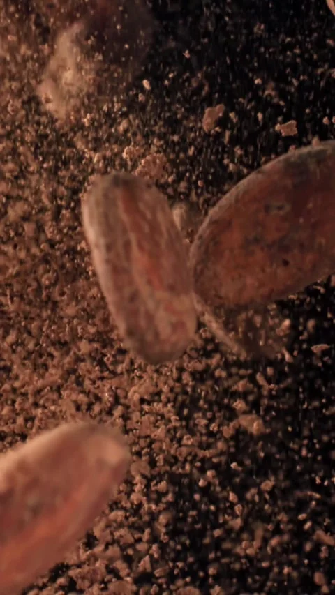 Cocoa beans fly up and fall down. Filmed on a high-speed camera at 1000 fps Stock Footage 335375766