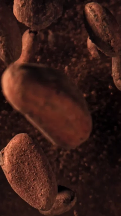 Cocoa beans fly up and fall down. Filmed on a high-speed camera at 1000 fps Stock Footage 335377825