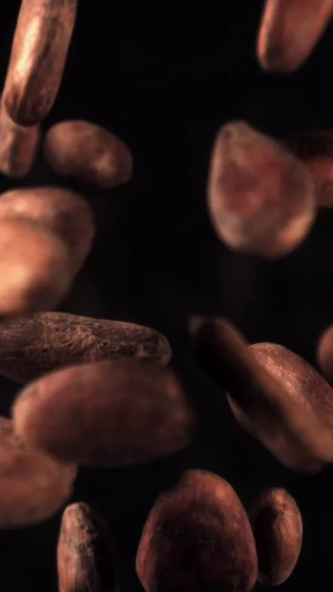 Cocoa beans fly up and fall down. Filmed on a high-speed camera at 1000 fps Stock Footage 335378336