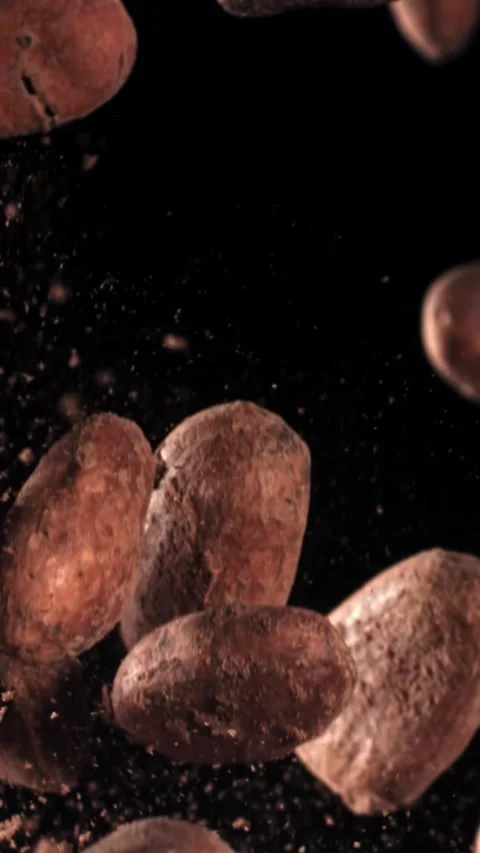 Cocoa beans fly up and fall down. Filmed on a high-speed camera at 1000 fps Stock Footage 335379245