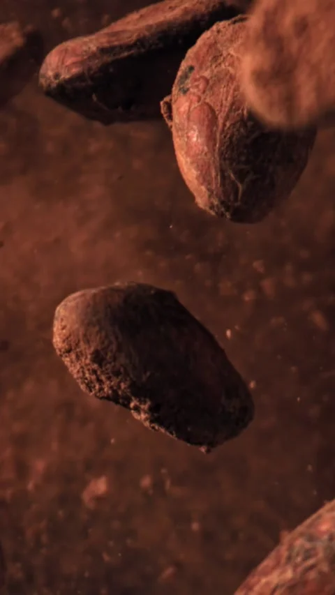 Cocoa beans fly up and fall down. Filmed on a high-speed camera at 1000 fps Stock Footage 335379692