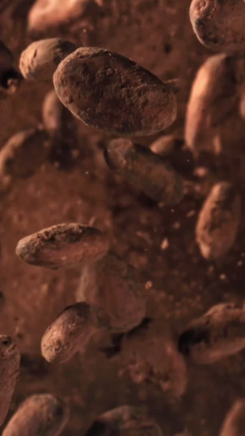 Cocoa beans fly up and fall down. Filmed on a high-speed camera at 1000 fps Stock Footage 335384545