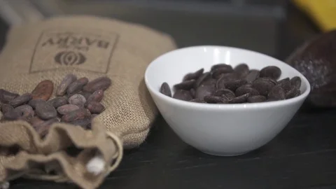 Cocoa beans Stock Footage 82028817