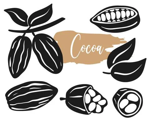 Cocoa beans isolated vector set illustration Ilustração Stock